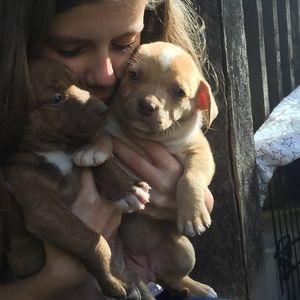 Meet your Posher, Hailey j